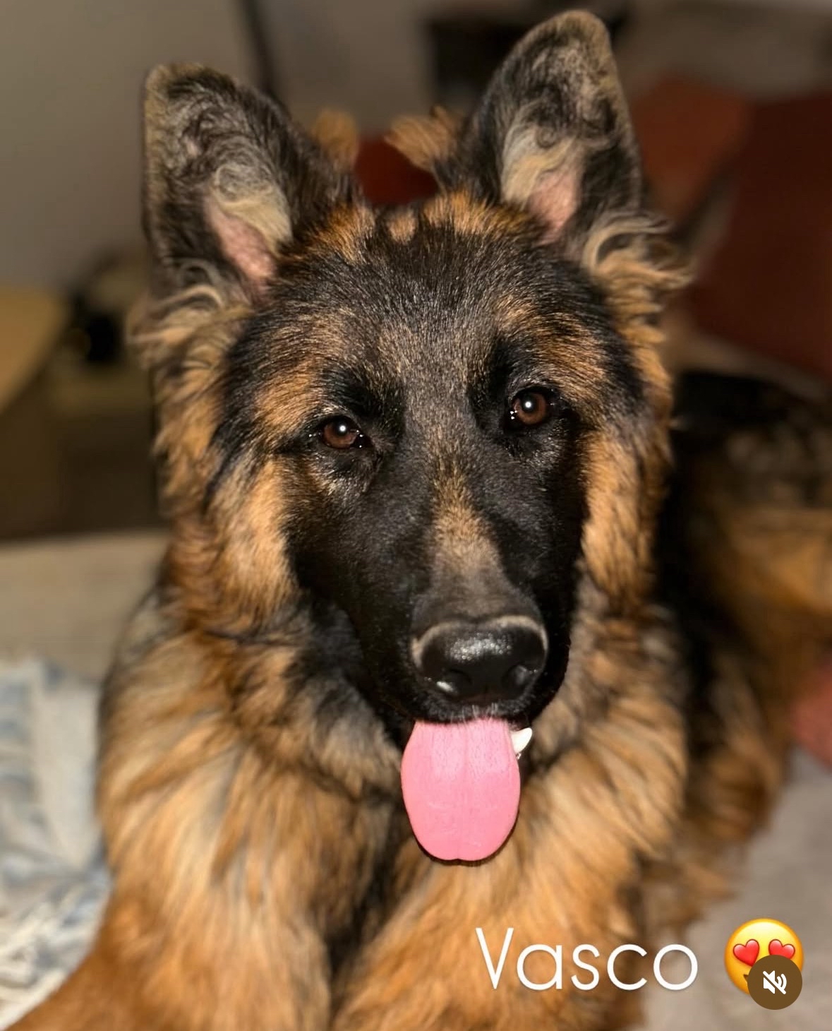 Vasko