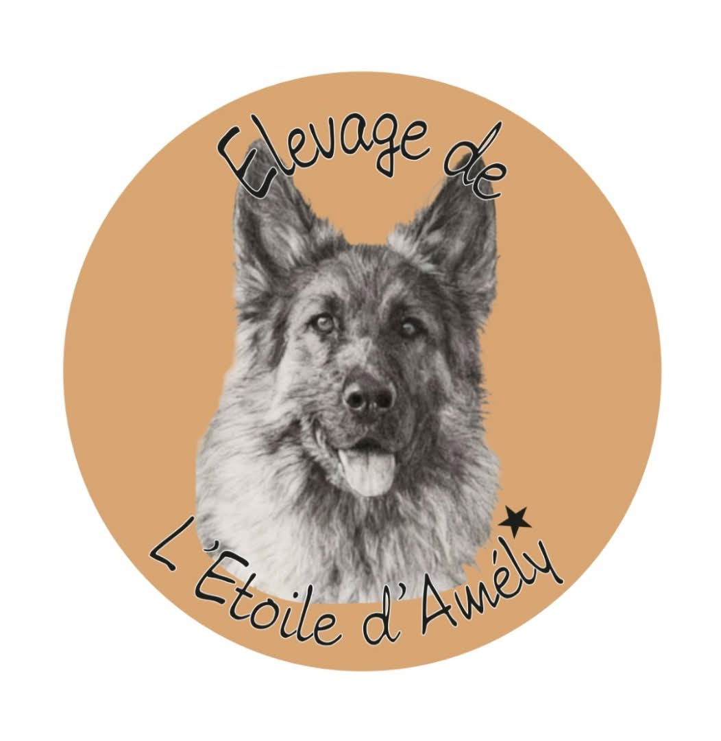 Logo L'étoile d'Amély
